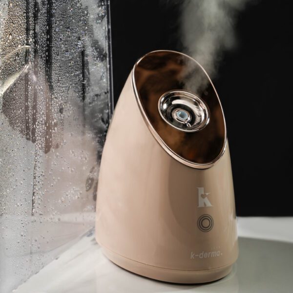 Ionic Facial Steamer